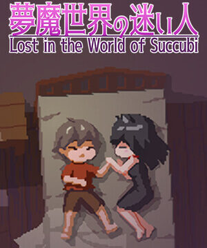 Lost in the World of Succubi