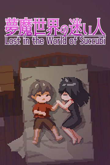 Lost in the World of Succubi
