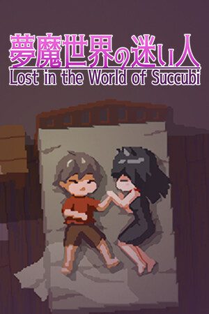 Lost in the World of Succubi