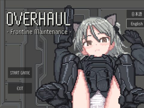 Overhaul - Frontline Maintenance