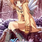 Kanon