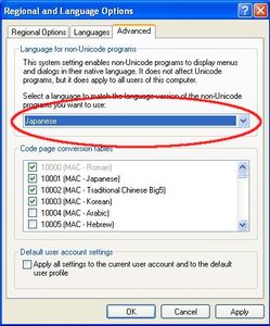 Installing Japanese support for Windows XP 8