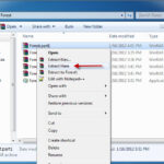 Forest Install 1 Forest Install 1