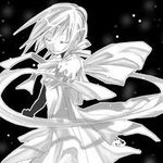 Ballad of an Evening Butterfly