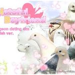 Hatoful Boyfriend
