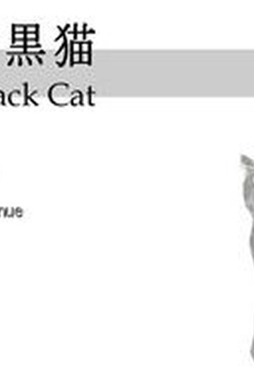 My Black Cat