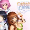 Catch Canvas