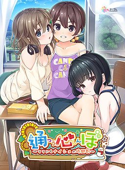 Tsuushinbo: Another Story