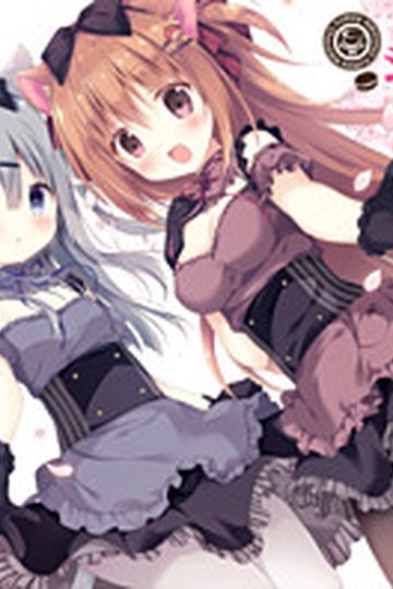 Amairo Chocolate