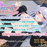 SEX Simulator