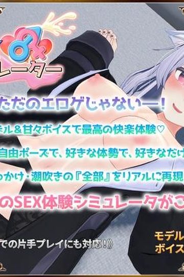 SEX Simulator