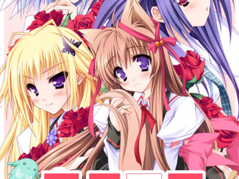 Tayutama - It's Happy Days